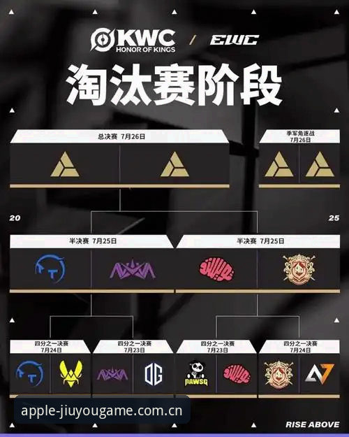 九游体育平台最新动态：v2.0.5版本上线，新手用户王董亲测分享使用全攻略